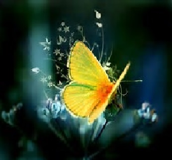 Fertiliteits Vlinder